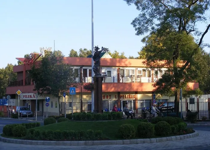 Pelikan Hodmezovasarhely