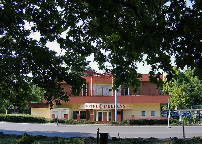 Pelikan Hodmezovasarhely