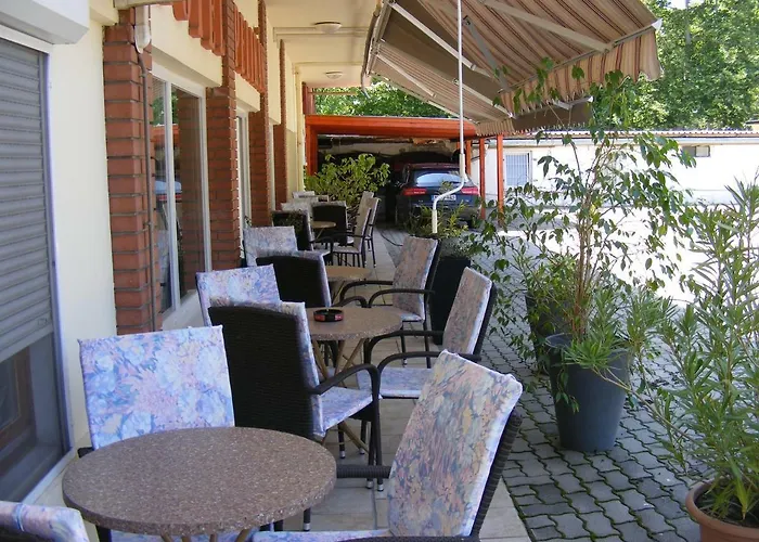 Pelikan Hodmezovasarhely