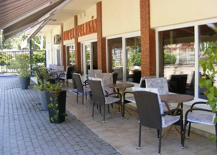 Pelikan Hódmezővásárhely