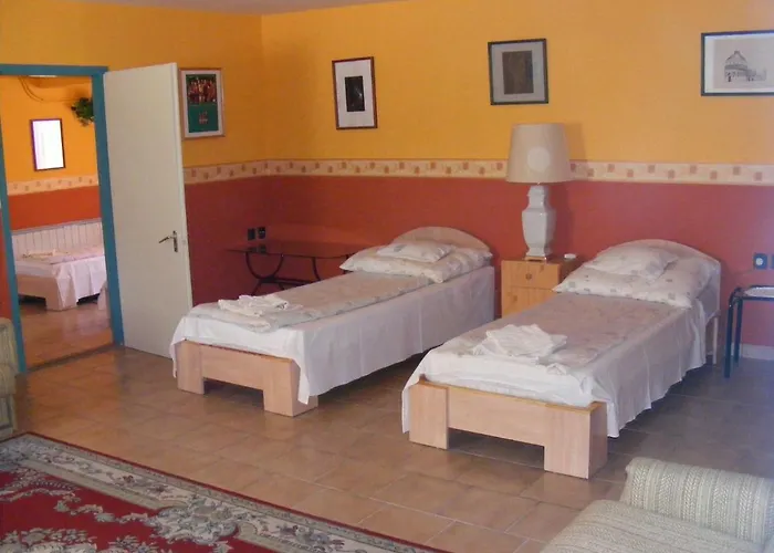 Pelikan Hódmezővásárhely